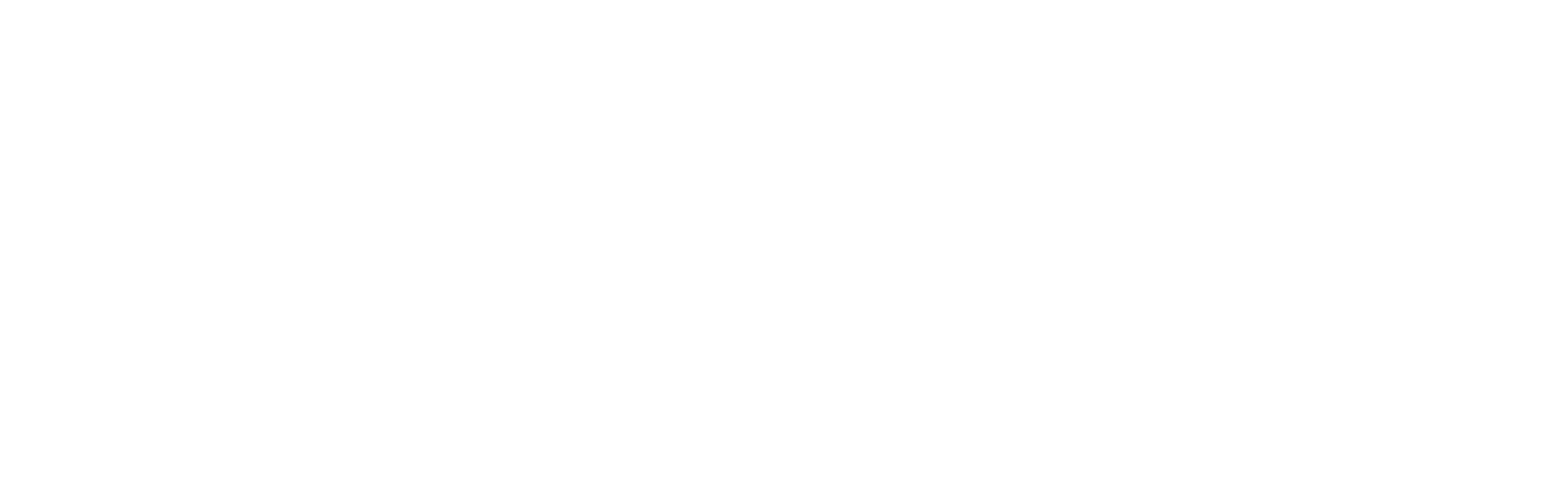 logo Nilario mini